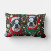 Boston Terrier Kerstmis