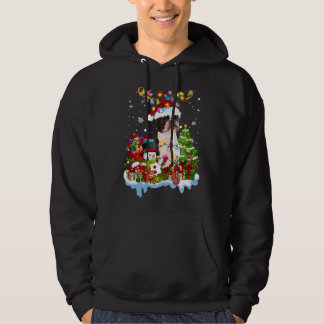 Boston Terrier-kerstrendierverlichting Hoodie