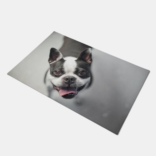 Boston Terrier kijkt op Deurmat (Schuin)