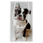 Boston Terrier Klein Cadeauzakje (Voorkant)