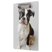 Boston Terrier Klembord (Links)
