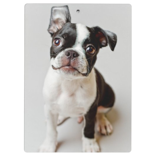 Boston Terrier Klembord (Achterkant)