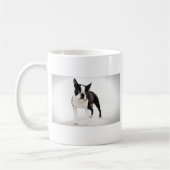 Boston Terrier Koffiemok (Links)