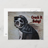 Boston Terrier:  Krek het, Baby! Briefkaart (Voorkant / Achterkant)