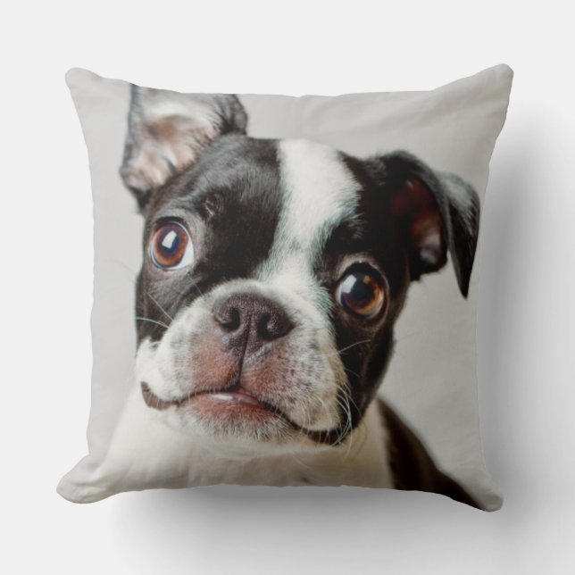 Boston Terrier Kussen (Voorkant)