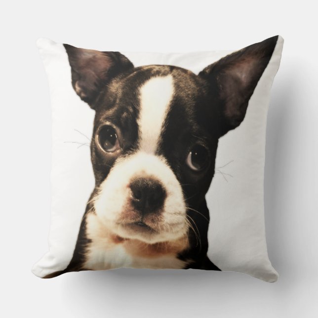 BoSTON TERRiER Kussen (Voorkant)
