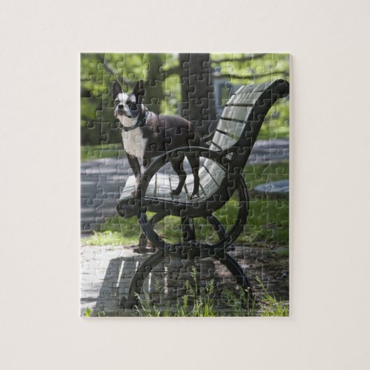 Boston Terrier Legpuzzel (Verticaal)