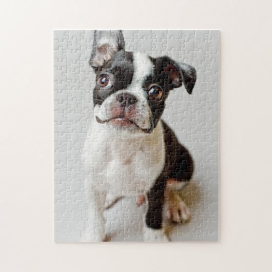 Boston Terrier Legpuzzel (Verticaal)