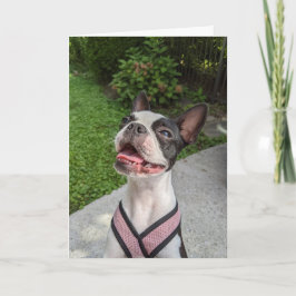 Boston Terrier Liefde Kaart