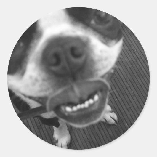 Boston Terrier Lips Ronde Sticker (Voorkant)