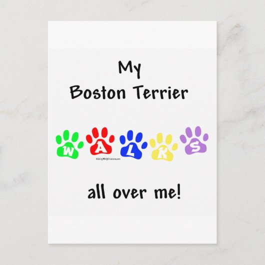 Boston Terrier loopt over me heen Briefkaart (Voorkant)