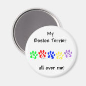 Boston Terrier loopt over me heen - Magnet (Voorkant / Achterkant)