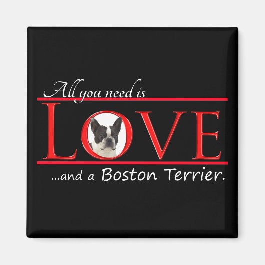 Boston Terrier Love Magnet (Voorkant)