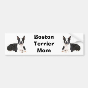 Boston Terrier Ma Bumpersticker