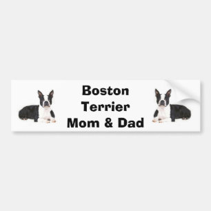 Boston Terrier Ma & Dad Bumpersticker