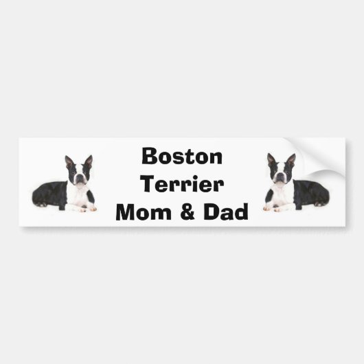 Boston Terrier Ma & Dad Bumpersticker (Voorkant)
