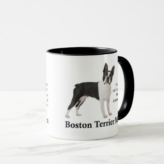 Boston Terrier Ma Mok (Voorkant rechts)