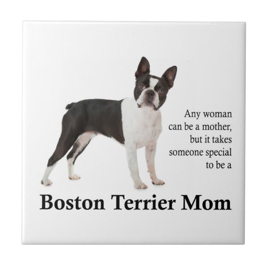 Boston Terrier Ma Tegel Tegeltje (Voorkant)