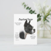 Boston Terrier Maak kennis met het ras Briefkaart (Staand voorkant)