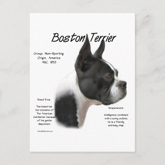 Boston Terrier Maak kennis met het ras Briefkaart (Voorkant)