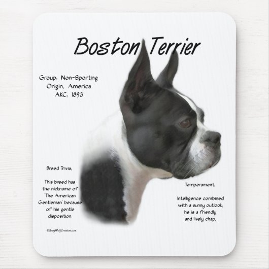 Boston Terrier Maak kennis met het ras Muismat (Voorkant)