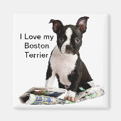 BOSTON TERRIER MAGNEET (Voorkant)