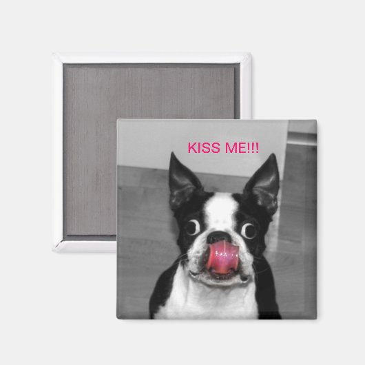 BOSTON TERRIER MAGNEET (Voorkant / Achterkant)