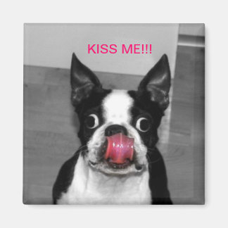 BOSTON TERRIER MAGNEET