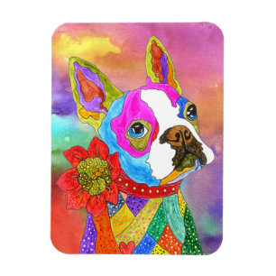 Boston Terrier magneet 3"x4"