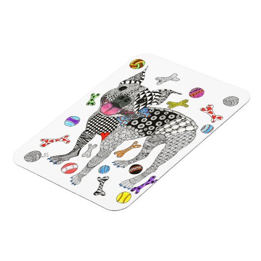 Boston Terrier magneet 3"x4" (Linkerzijde)