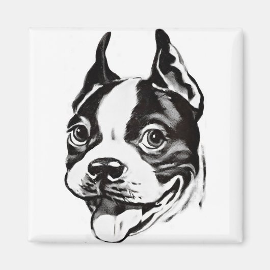 Boston Terrier Magnet (Voorkant)