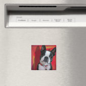 Boston Terrier Magnet (Insitu (Vaatwasser))