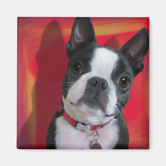 Boston Terrier Magnet (Voorkant)