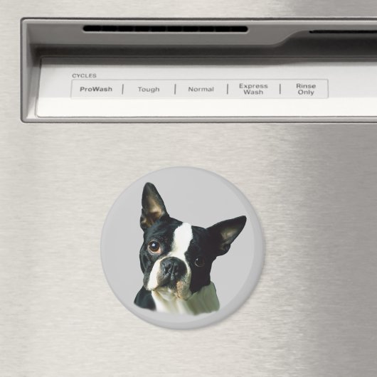 Boston Terrier Magnet (Insitu (Vaatwasser))