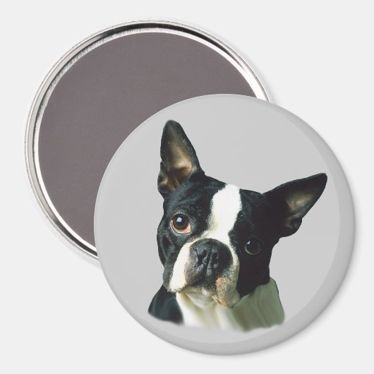 Boston Terrier Magnet (Voorkant / Achterkant)