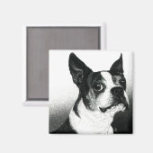 Boston Terrier Magnet - "Boston Style" (Voorkant / Achterkant)