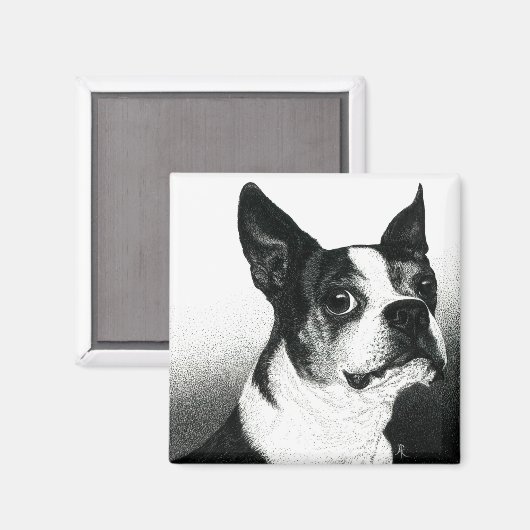 Boston Terrier Magnet - "Boston Style" (Voorkant / Achterkant)