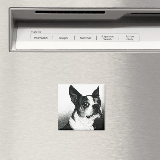 Boston Terrier Magnet - "Boston Style" (Insitu (Vaatwasser))
