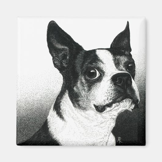 Boston Terrier Magnet - "Boston Style" (Voorkant)