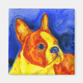 Boston Terrier Magnet - "Golden Boy" (Voorkant)