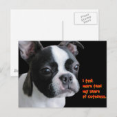 Boston Terrier: Meer dan mijn deel van de bezuini Briefkaart (Voorkant / Achterkant)