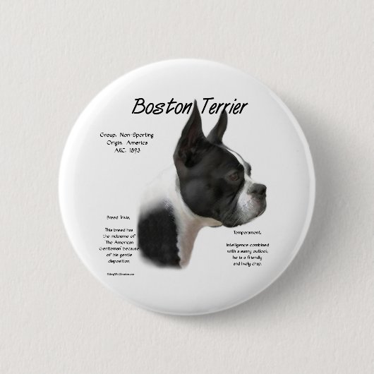 Boston Terrier Meet the Breed - Button (Voorkant)