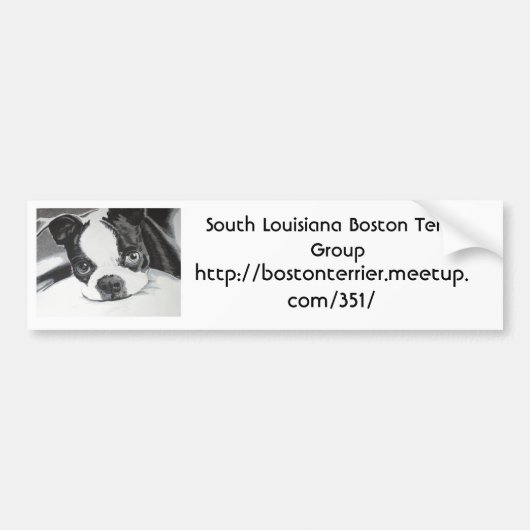 Boston Terrier Meetup Group Bumpersticker (Voorkant)