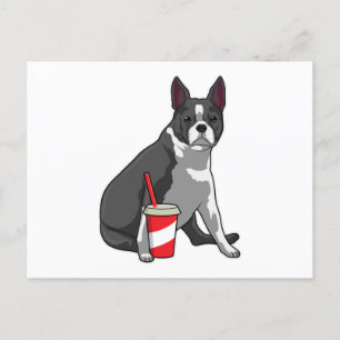 Boston Terrier met Drankje Briefkaart