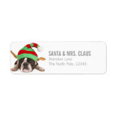 Boston Terrier met een kerst Pet Etiket (Voorkant)