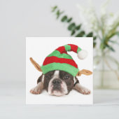 Boston Terrier met een kerstPet Feestdagenkaart (Staand voorkant)