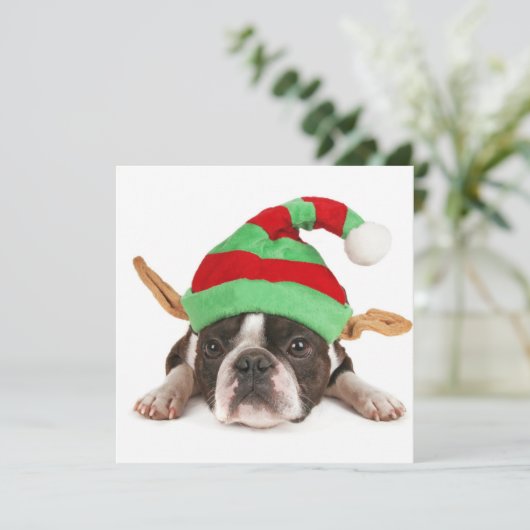 Boston Terrier met een kerstPet Feestdagenkaart (Staand voorkant)