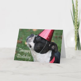 Boston Terrier met een verjaardagswens Kaart