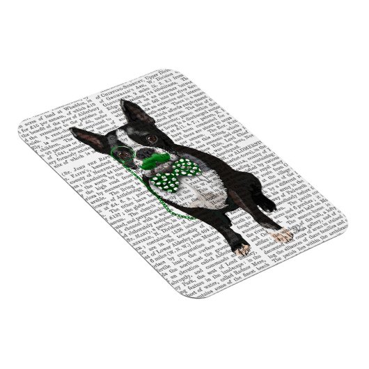 Boston Terrier met Green Mustache en Spotty Magneet (Rechterzijde)