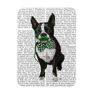 Boston Terrier met Green Mustache en Spotty Magneet